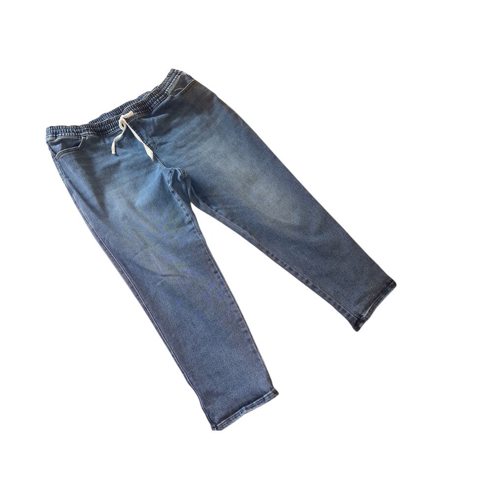 Lane Bryant Elastic Waist Jeans Size 18P Pull-On Denim Stretch Comfort - Picture 2 of 5